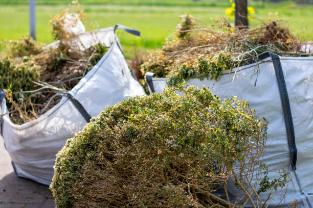Best Construction Debris Removal  in Ashland, NE